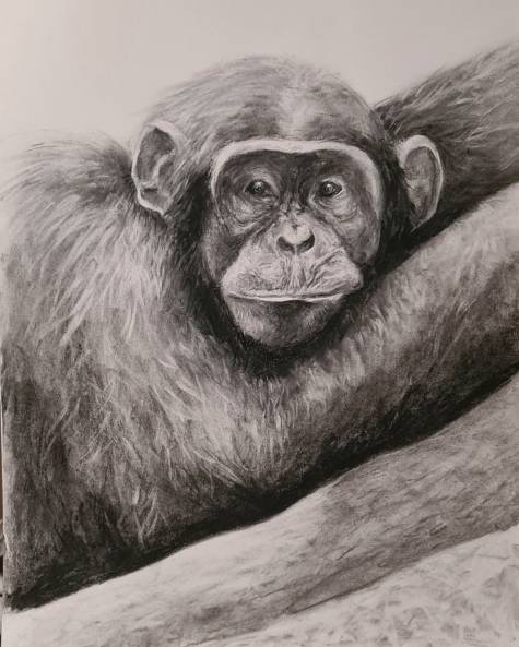 ich bin total entspannt (I'm so relaxed), charcoal on paper